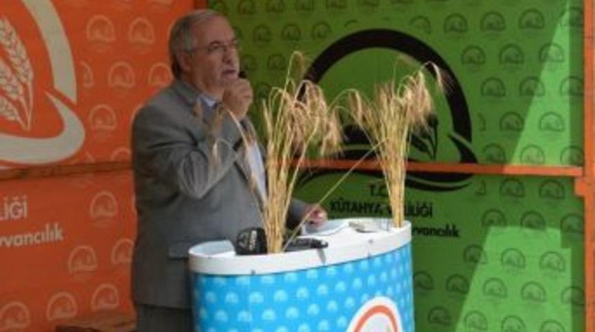 Vali Ahmet H. Nayir: "insanımızın Hizmetinde Olan Her Husus Bizim İ&ccedil;in Kutsaldır"