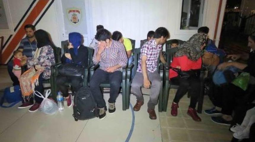 Ayvacık'ta 54 Ka&ccedil;ak Yakalandı