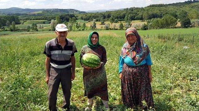 Büyükşehir’den Çiftçiye Tohum Desteği