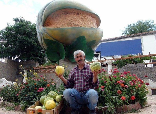 Muz Tadındaki ’bağrıbütün’ Kavunu Tescillenecek