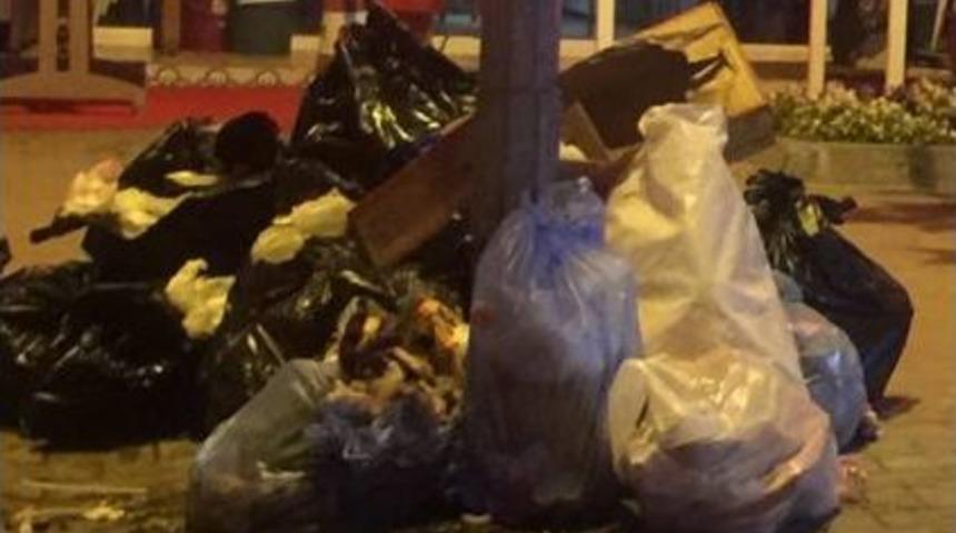 Mudanya&rsquo;da &Ccedil;&ouml;p Kabusu