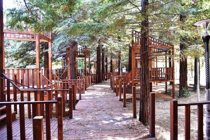 Ortahisar Belediye Başkanı Genç: “ortahisar’ı Yeniden İnşa Ediyoruz” G1