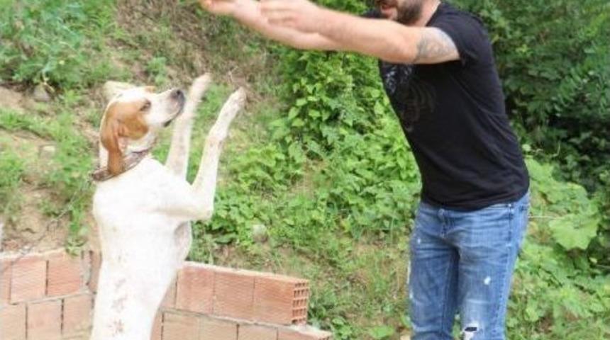 Trabzon’da Sahibiyle Müzik Eşliğinde Kolbastı Oynayan Köpek Şaşırtıyor