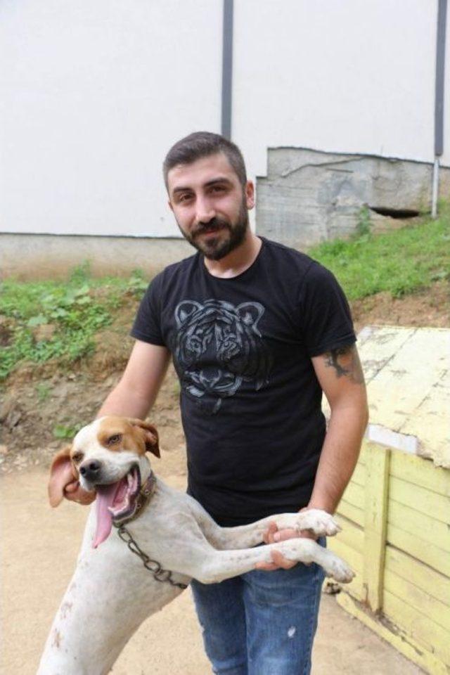 Trabzon’da Sahibiyle Müzik Eşliğinde Kolbastı Oynayan Köpek Şaşırtıyor