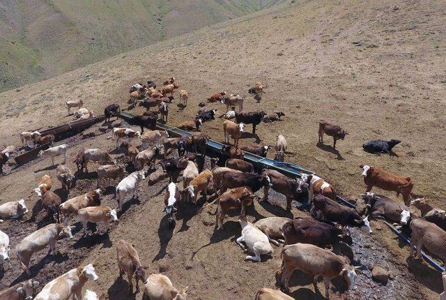 Beypınarı Sakinlerinden Başkan Sekmen’e İçme Suyu Teşekkürü