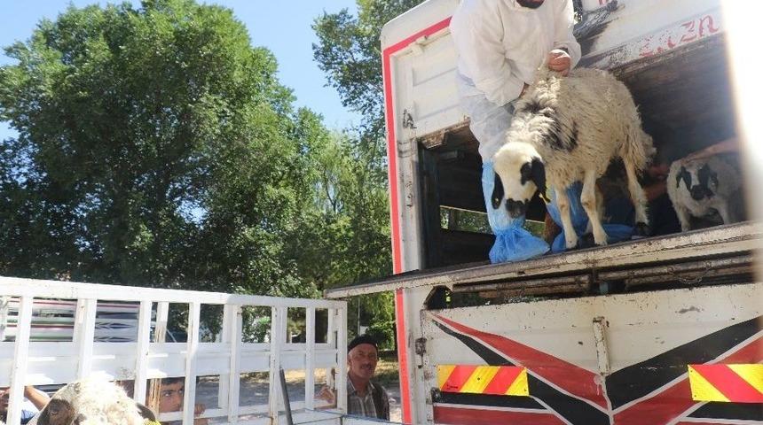 Elazığ&rsquo;da "gen&ccedil; &Ccedil;ift&ccedil;i Desteklenmesi" Projesi