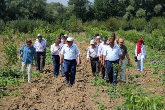 Belediyenin 'bebek Meyve Ormanı' Alternatif Pazar Oldu