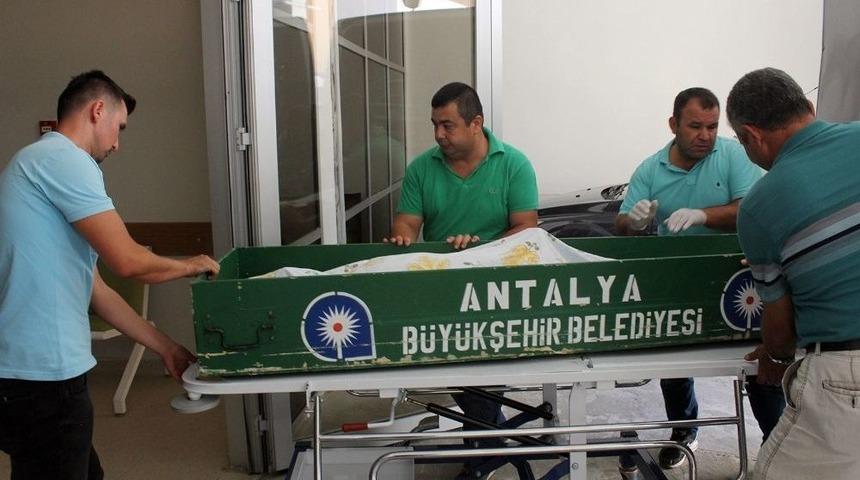 Ke&ccedil;i Otlatmaya Gittiği Ormanda &Ouml;l&uuml; Bulundu