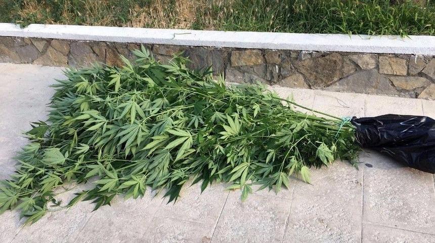 Uyuşturucuyla Yakalanan İranlı Tutuklandı