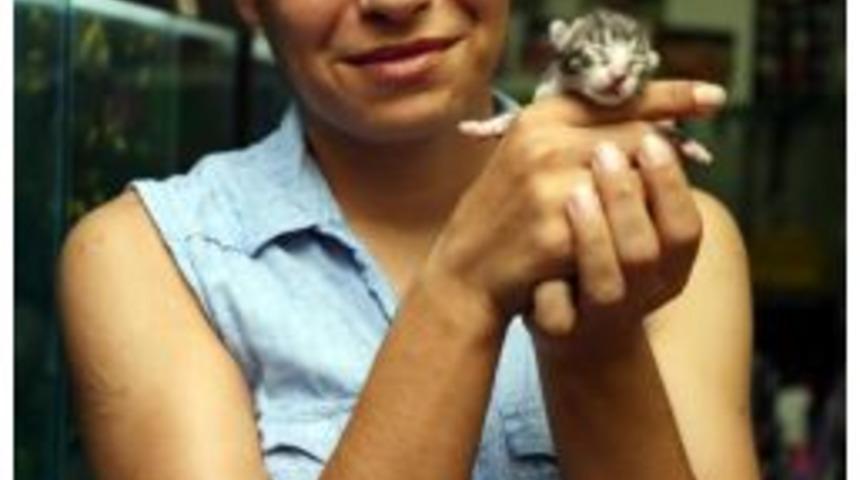 K&ouml;peği Ezen O S&uuml;r&uuml;c&uuml; Bulundu (3)