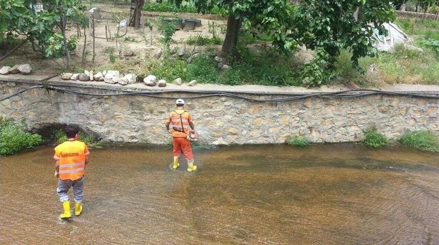 Bilecik Belediyesi’nden Dalakdere’de Kapsamlı Temizlik Çalışması