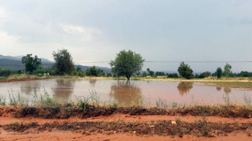 Aşırı Yağış Yolu Kapattı, Tütün Tarlalarını Vurdu