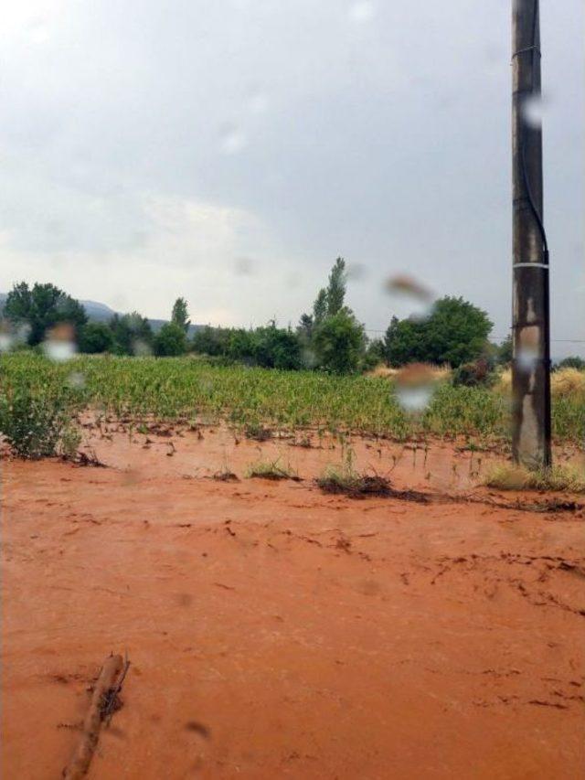 Aşırı Yağış Yolu Kapattı, Tütün Tarlalarını Vurdu