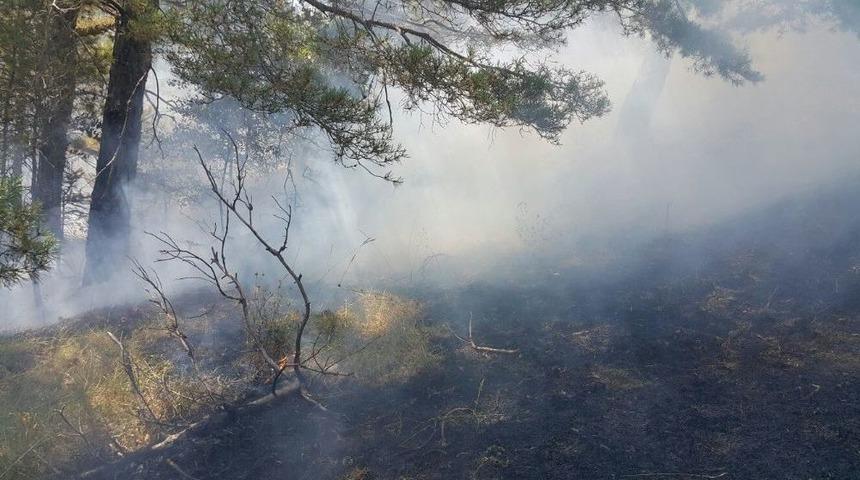 Alaçam’da Orman Yangını