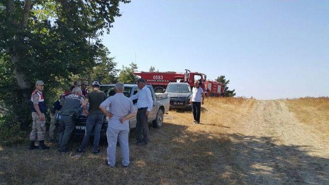 Alaçam’da Orman Yangını