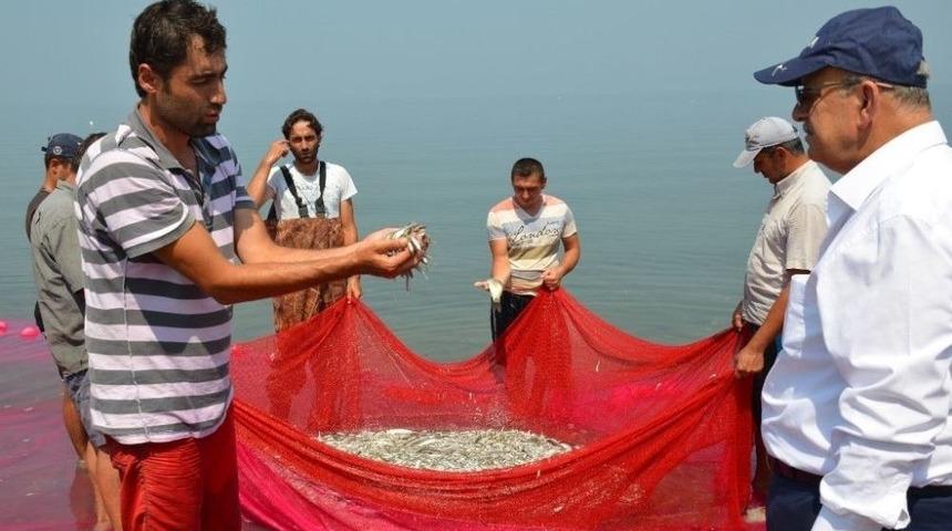 İznik G&uuml;m&uuml;ş Balığı Avrupa&rsquo;nın Bir Numarası