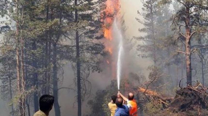 Ormandaki Yangının S&ouml;nd&uuml;r&uuml;lmesi I&ccedil;in Halktan Yardım Istendi (2)