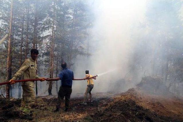 Ormandaki Yangının Söndürülmesi Için Halktan Yardım Istendi (2)