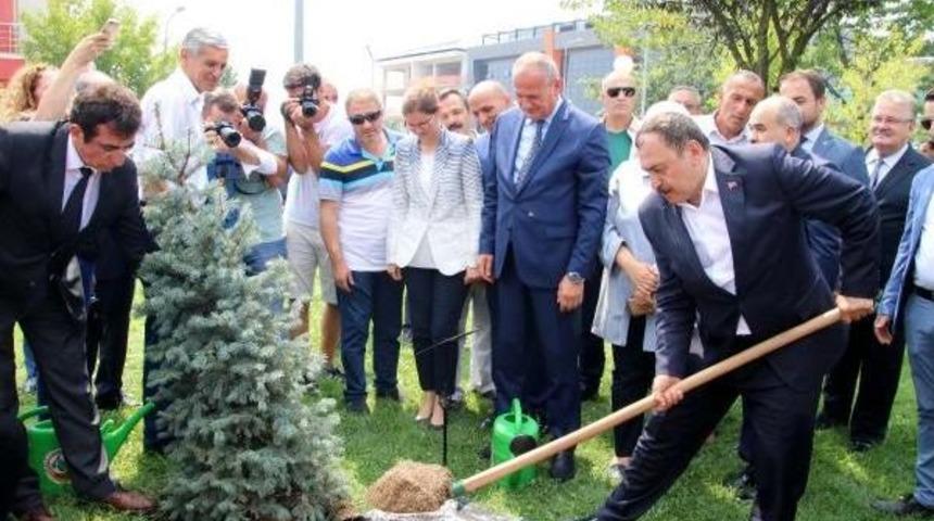 Bakan Eroğlu: İstanbul'un Suyunu 2071'e Kadar Garantiye Alıyoruz (2)