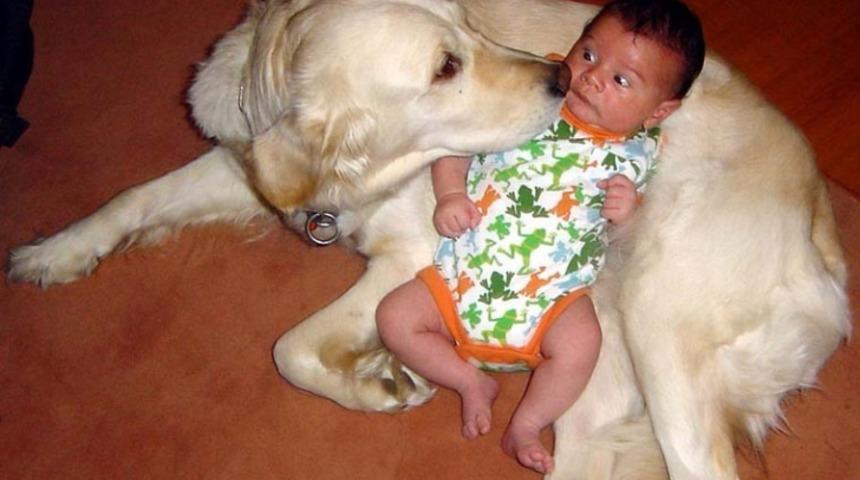 K&ouml;pekler Ve Bebeklerin Uyku Arkadaşı Olduğunu G&ouml;steren Bakanı Mutlu Eden 15 Fotoğraf