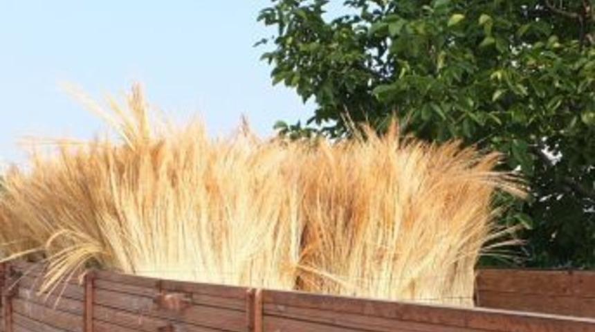 Yeni Mahsul S&uuml;p&uuml;rge Teli Borsada