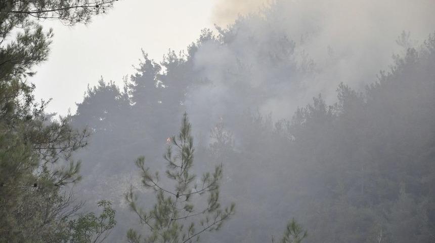 Hatay&rsquo;da Orman Yangını