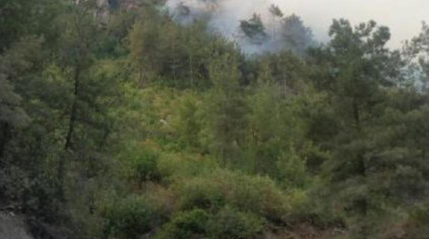 Hatay'da 5 Hektar Orman Yandı