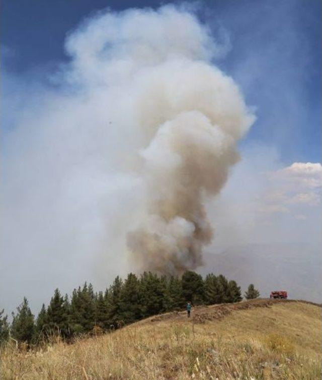 Oltu’daki Orman Yangını Üçüncü Gününde Sürüyor