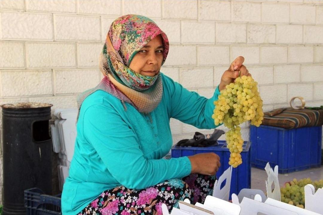 Sultani &Uuml;z&uuml;mde İhracat Yarın Başlıyor