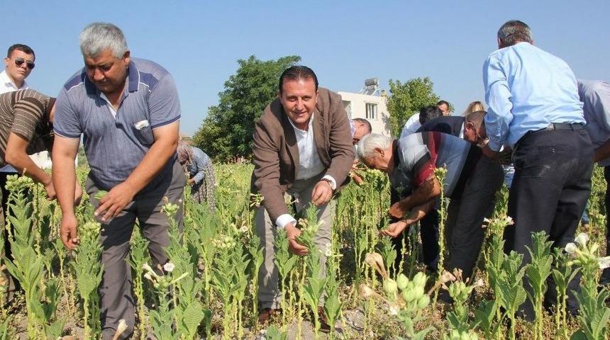 Başkan Soylu, Vatandaşlarla Buluşup T&uuml;t&uuml;n Kırdı