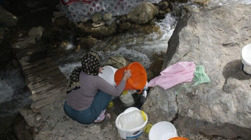 Yazın &Uuml;retip, Kışın T&uuml;ketiyorlar