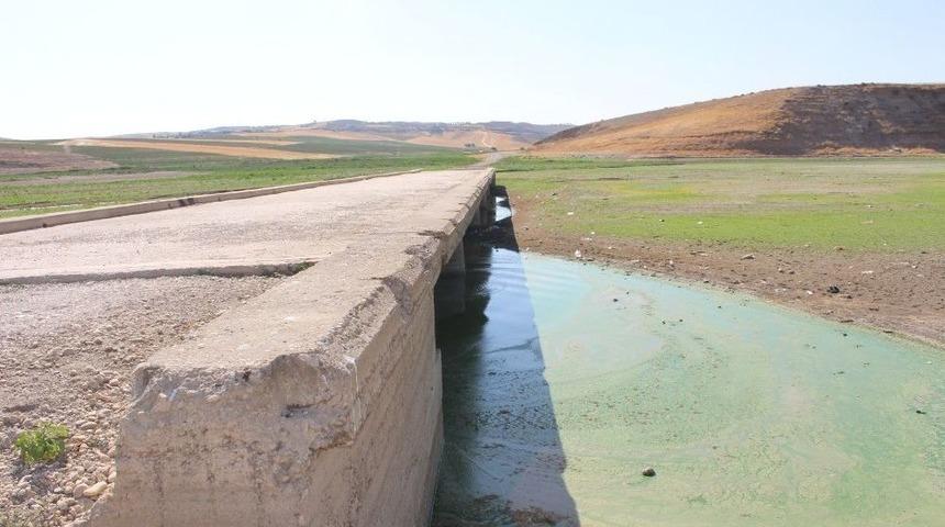 Kuruyan Barajdaki Eski K&ouml;pr&uuml; Ortaya &Ccedil;ıktı