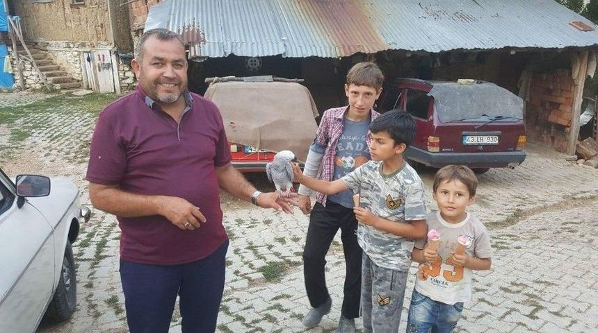 K&ouml;ydeki Papağan İlgi Odağı Oldu