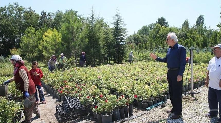 Perli Fidanlığında 10 Bin G&uuml;l, 100 Bin Menekşe