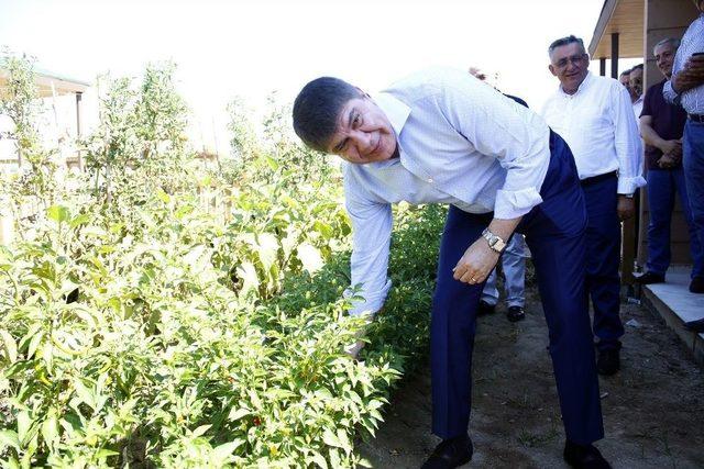 Türel’den Çetin Osman Budak’a Cevap