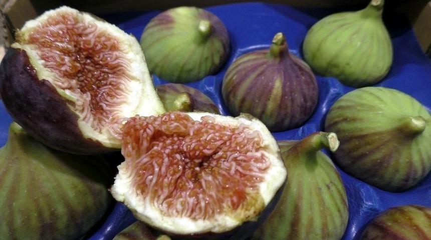 Bursa’nın Siyah İncirinin İhracatı 7 Liradan Başlıyor