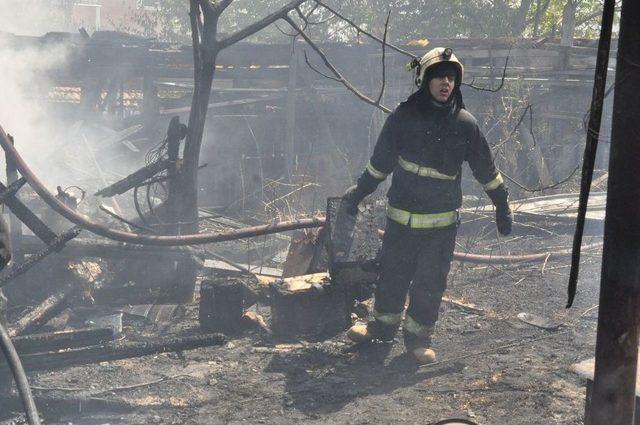 Anız Yangını Binlerce Arıyı Telef Etti