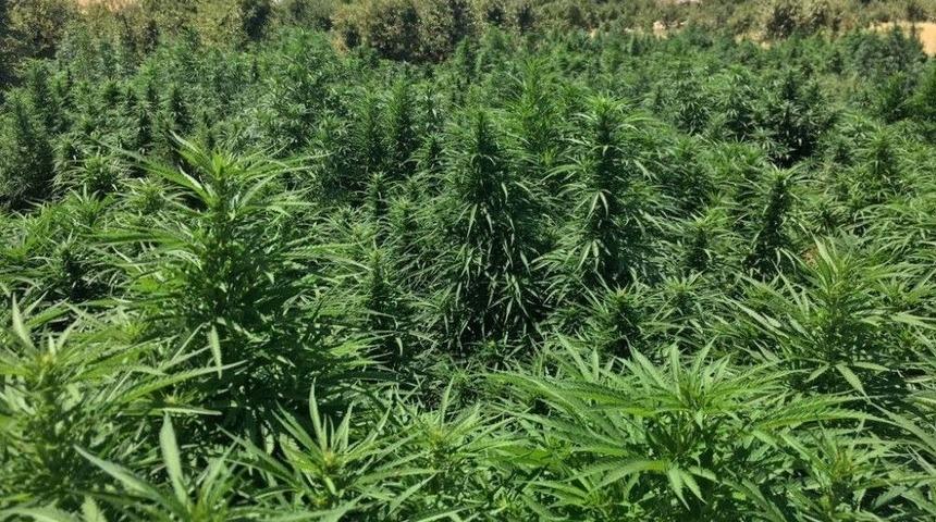 Diyarbakır&rsquo;da Uyuşturucu Operasyonu