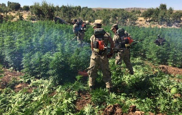 Diyarbakır&rsquo;da Uyuşturucu Operasyonu 1