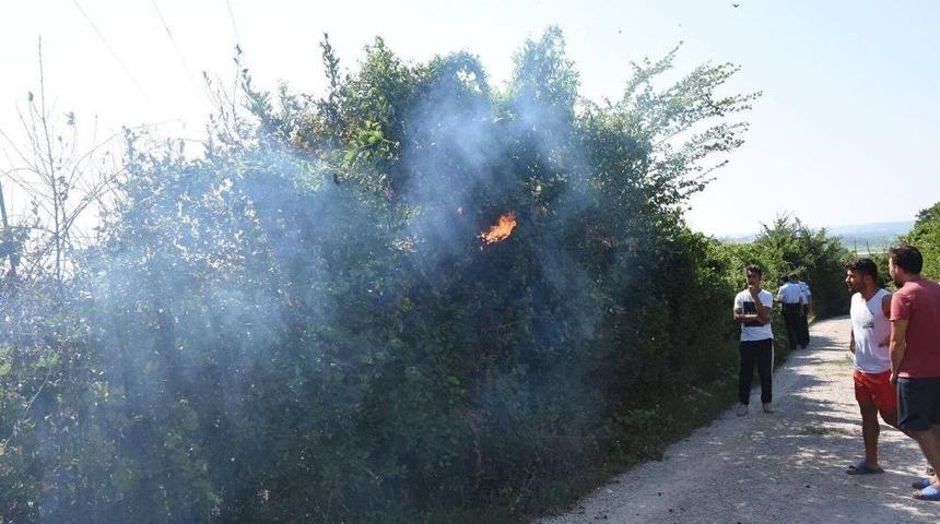 Sinop&rsquo;ta Yangın