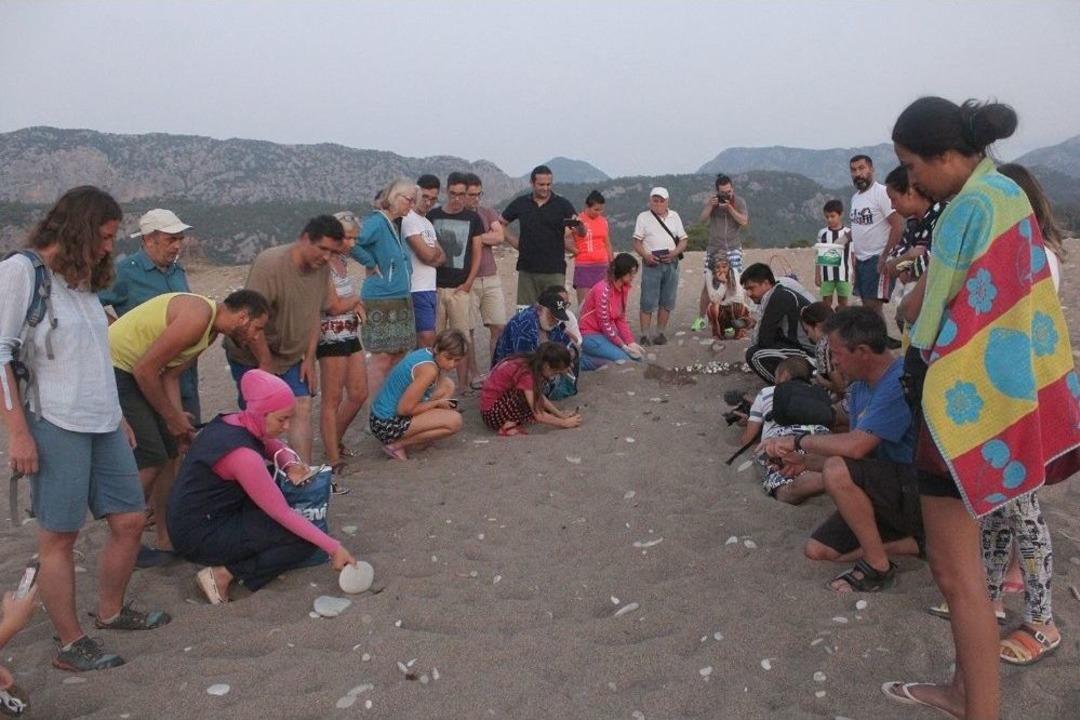 Yavru Caretta Caretta&rsquo;lar Denizle Buluştu