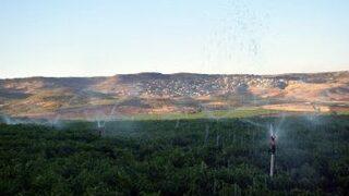 Çiftçiler Yer Altı Sularıyla Susuzluğu Yenmeye Çalışıyor