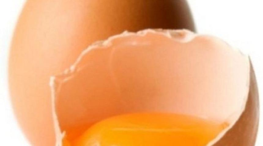 Kas yapan en iyi 16 besin