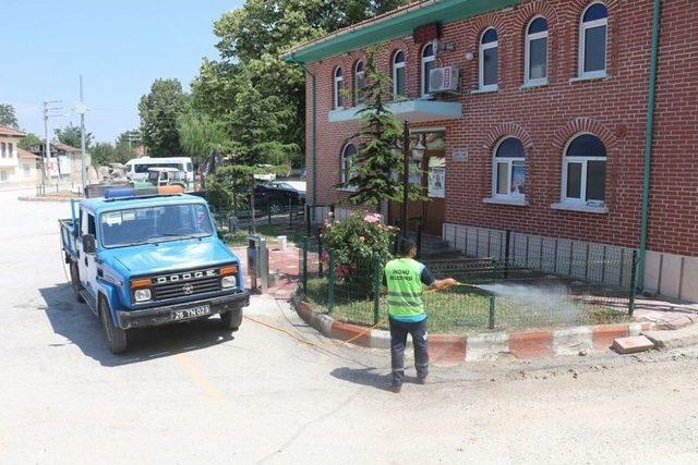 İnönü Belediyesi Cami Bahçelerini Haşerelerden Arındırılıyor