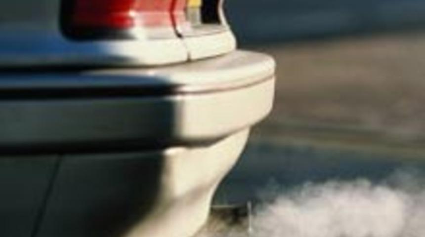 D&uuml;nyadaki İlgin&ccedil; S&uuml;t Dişi Gelenekleri