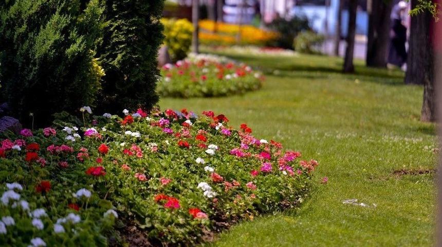 Maltepe’yi Çiçeklerle Bezediler