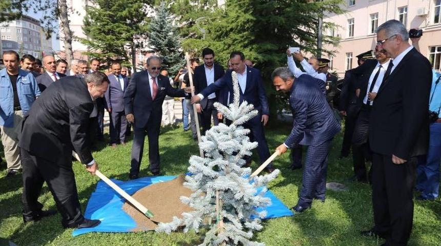 T&uuml;rkiye&rsquo;de Lavantaya Dayalı Sanayi Kurulumu İ&ccedil;in Hazırlık