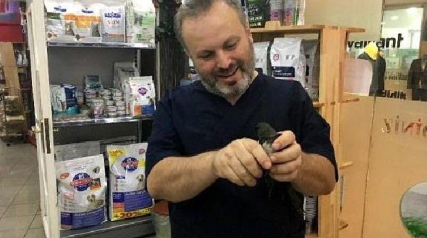Zonguldak&rsquo;Ta Tedavi Edilen 5 Yavru Ebabil Kuşu Doğaya Bırakıldı