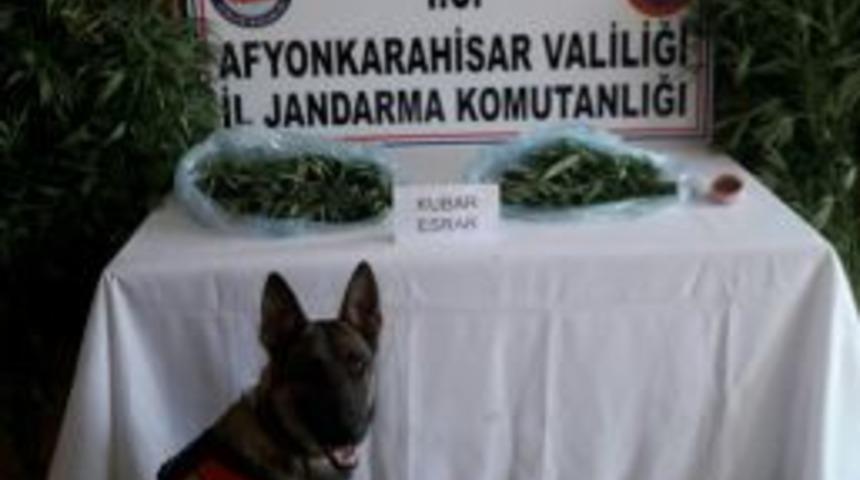 Jandarma 3 Kilogram Esrar Ele Geçirdi