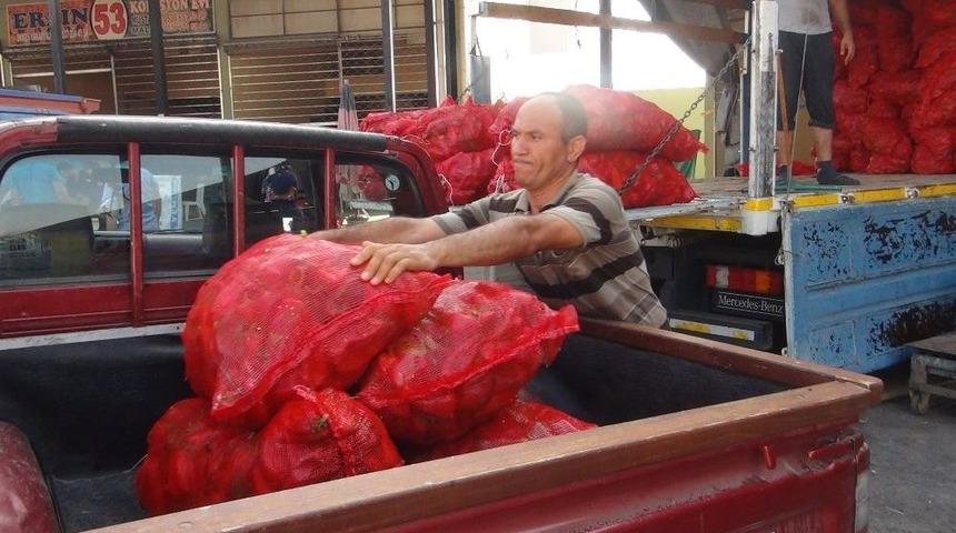&Ccedil;ukurova&rsquo;da Sal&ccedil;alık Biber Telaşı Başladı
